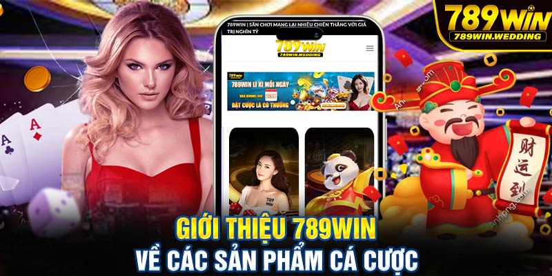 Giới thiệu 789win về các sản phẩm cá cược